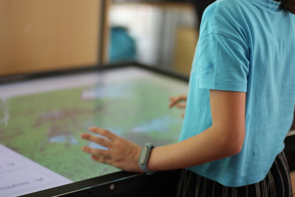 Kurs Geodaten, GIS und Webkarten – mit einem besonderen Tag im iDEAS:lab